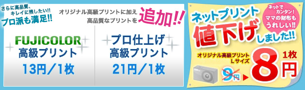 ヤマダネットプリントは1枚9円〜!