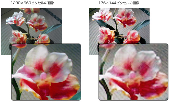 �摜��r