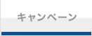 �f�W�J���v�����g�L�����y�[��